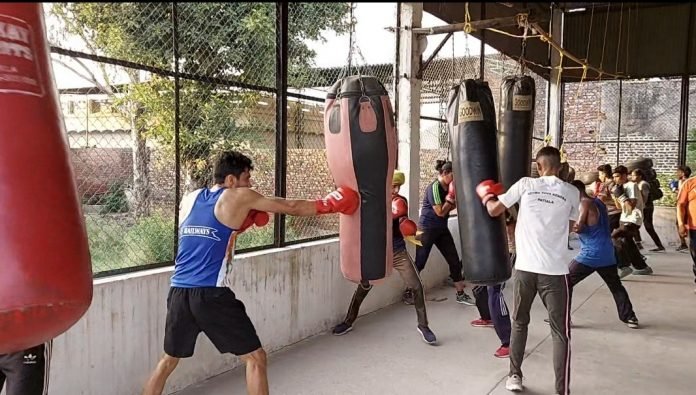 Trainees in quest of excellence at the Bipran Beer Singh Boxing and Training Centre in Punjab's Hasanpur Purohita village. Photo: Saurabh Duggal